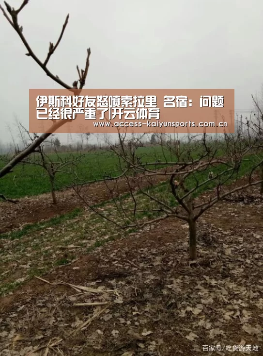伊斯科好友怒喷索拉里 名宿:问题已经很严重了|开云体育(图2) 开云体育首页