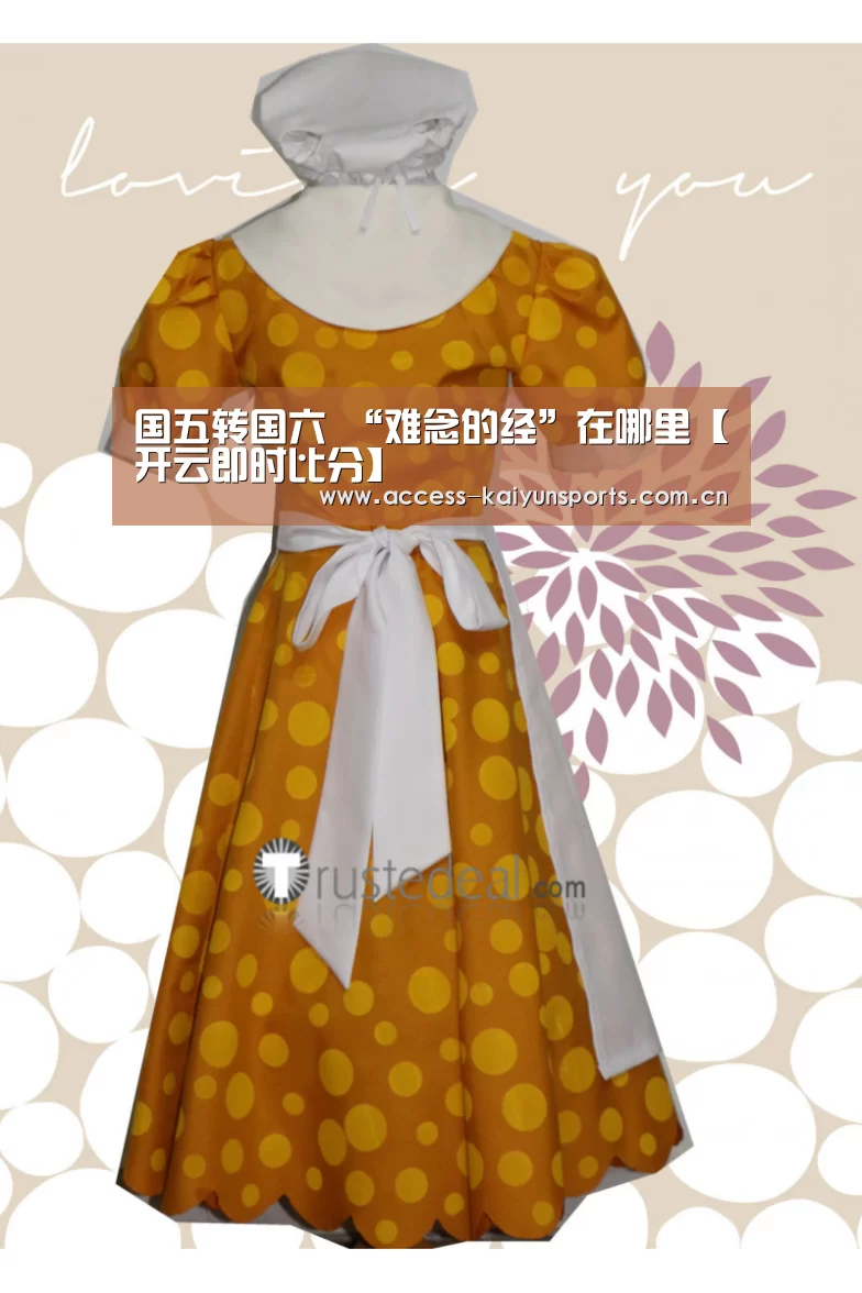国五转国六 “难念的经”在哪里【开云即时比分】(图1) KAIYUN入口